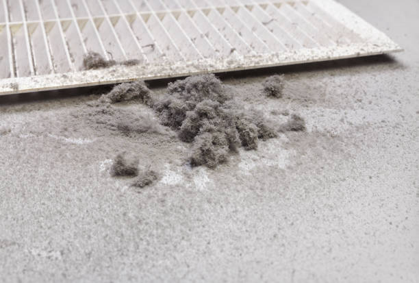 Best Affordable Duct Cleaning Services  in Gainesboro, TN