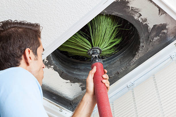 Best Local Air Duct Cleaning Services  in Gainesboro, TN